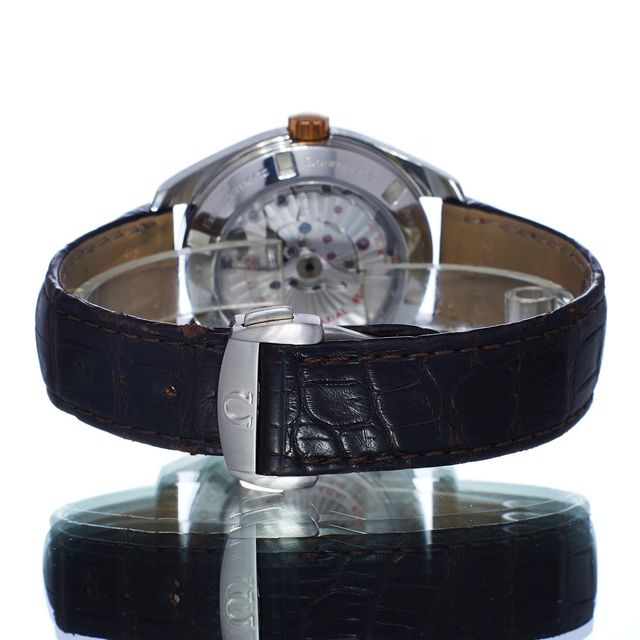 Omega Aqua Terra 150m Gents 231.23.42.21.06.001 Image 3